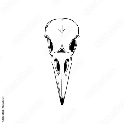 Crow skull sketch. Halloween skull for spooky designs. Vector illustration isolated in white background