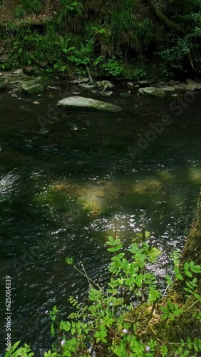 Wallpaper Mural The River Frome in Bristol, England Torontodigital.ca