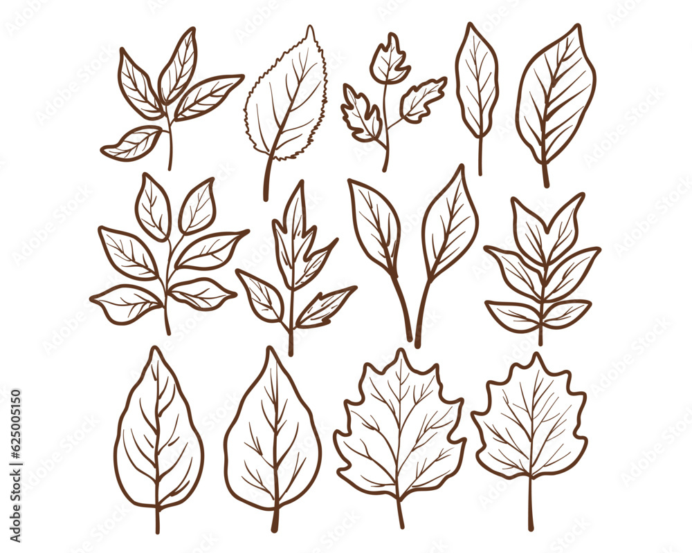 Leaf doodle set, vector illustration