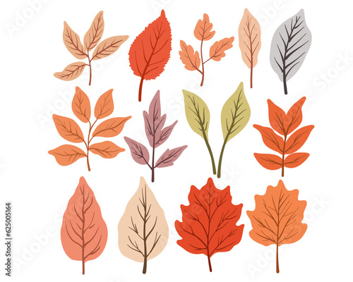 Set of autumn leaves  vector illustration