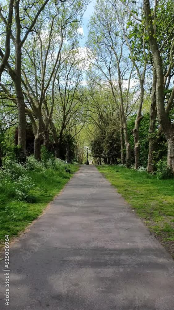 An avenue with trees on two sides in St George Park - Bristol, England An avenue with trees on two sides in St George Park - Bristol, England