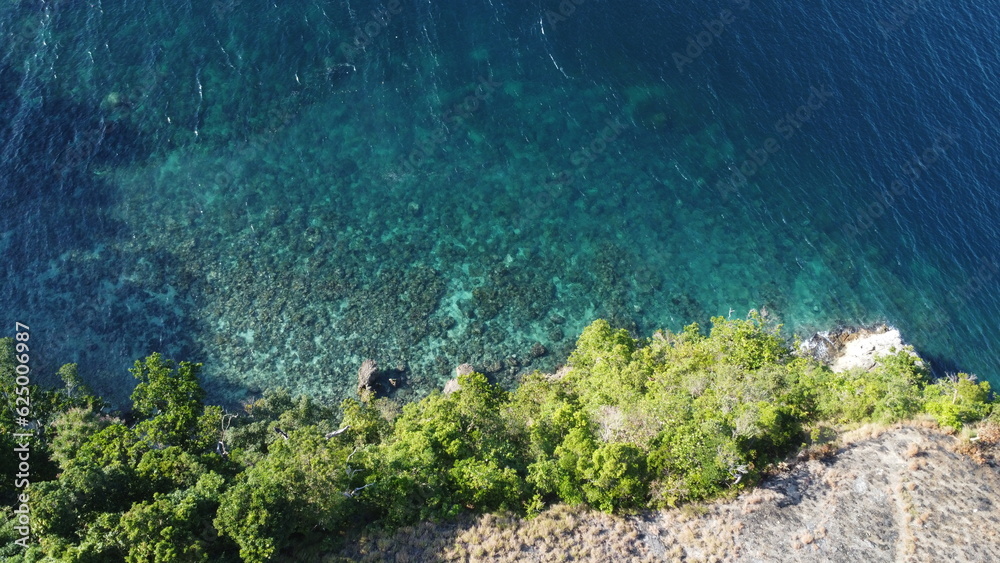 Obraz premium Rocky coast of a tropical island. Aerial view of a cliff covered with jungle and clear transparent sea.