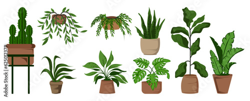 Potted leaf houseplants set vector illustration