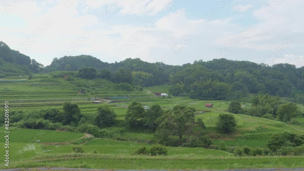 Midsummer, beautiful green rice fields, natural scenery Midsummer, beautiful green rice fields, natural scenery