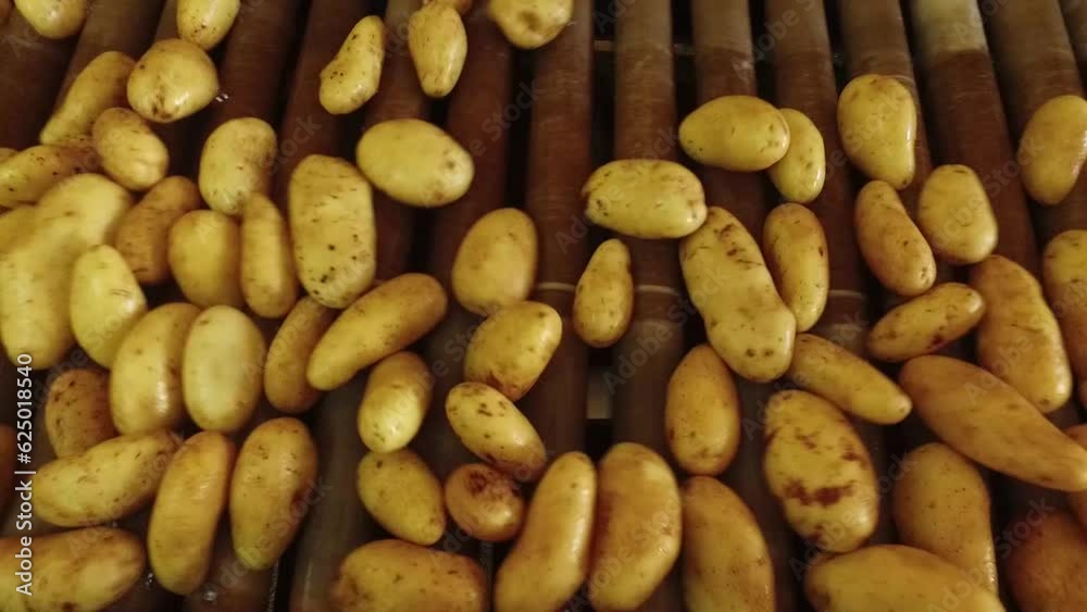Primer plano de papas sobre una banda trasnportadora