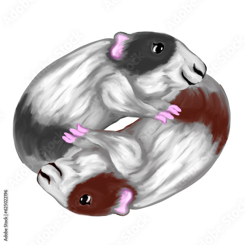 Yin Yang guinea pigs, drawing (ID: 625022196)