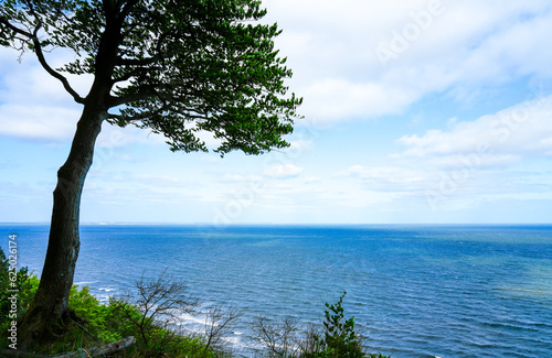 Fototapeta Naklejka Na Ścianę i Meble -  Viewpoint Gosan in Poland. Green nature with a view of the Baltic Sea.
