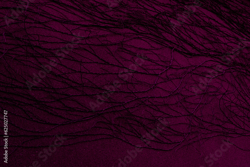 植物が張り付いた壁	
