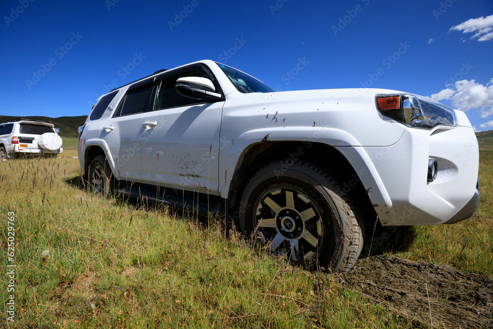 Fototapeta premium Offroad car got stuck in the mud