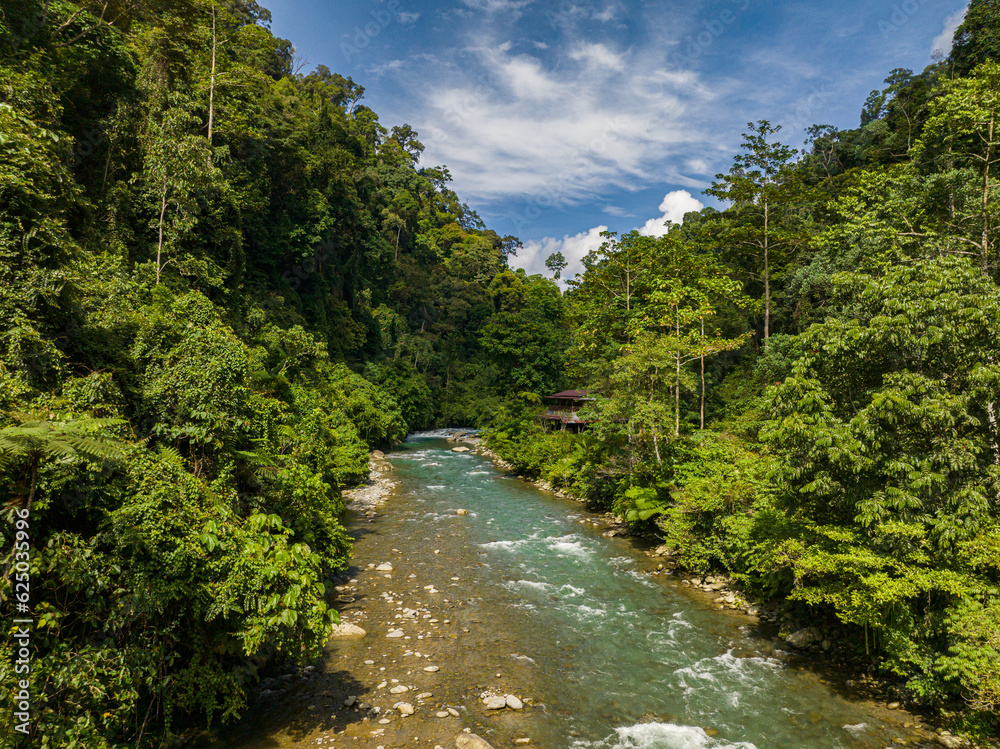 A river in the jungle with tropical vegetation. Sumatra. Bukit Lawang. Indonesia.