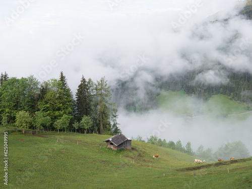 Natur around st Veit Pongau Austria © scimmery1
