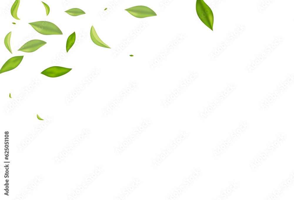 Forest Leaf Wind Vector White Background Poster. Forest Leaf Wind Vector White Background Poster.