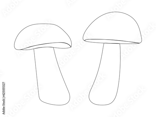 Two boletus mushroom icon in outline isolated on transparent and white background. Doodle porcini mushroom closeup element for nature design decoration. Autumn vector illustration with doodles.