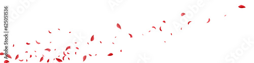 Red Blossom Blur Vector White Panoramic