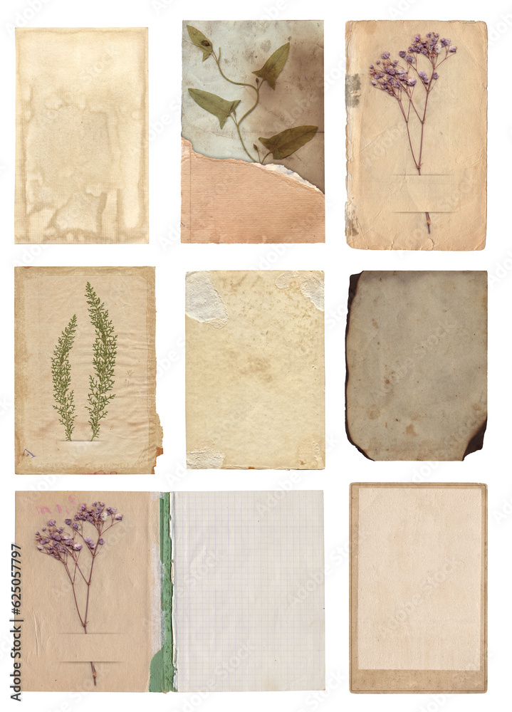 Set of Old various vintage rough paper with scratches, stains and dry plants texture isolated