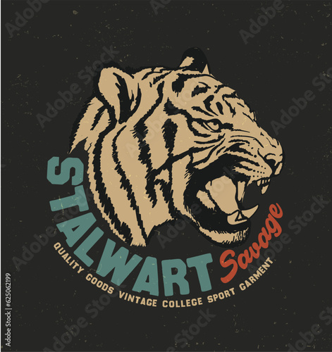 Photography wild tiger, grunge, splash, fashion tee graphic.