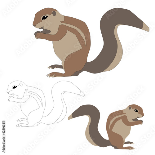 Ground squirrel xerus vector on white background