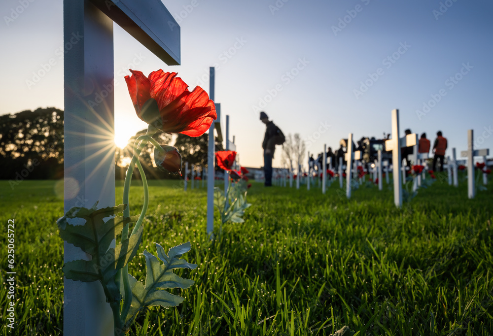 Sun stars shining through white crosses and red poppies. Out-of-focus people paying respect to fallen soldiers. Anzac Day commemoration. New Zealand.