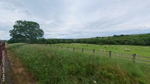 Pickering, North Yorkshire, UK – June 28 2023. Train ride on the North York Moors railway line between Whitby and Pickering photo