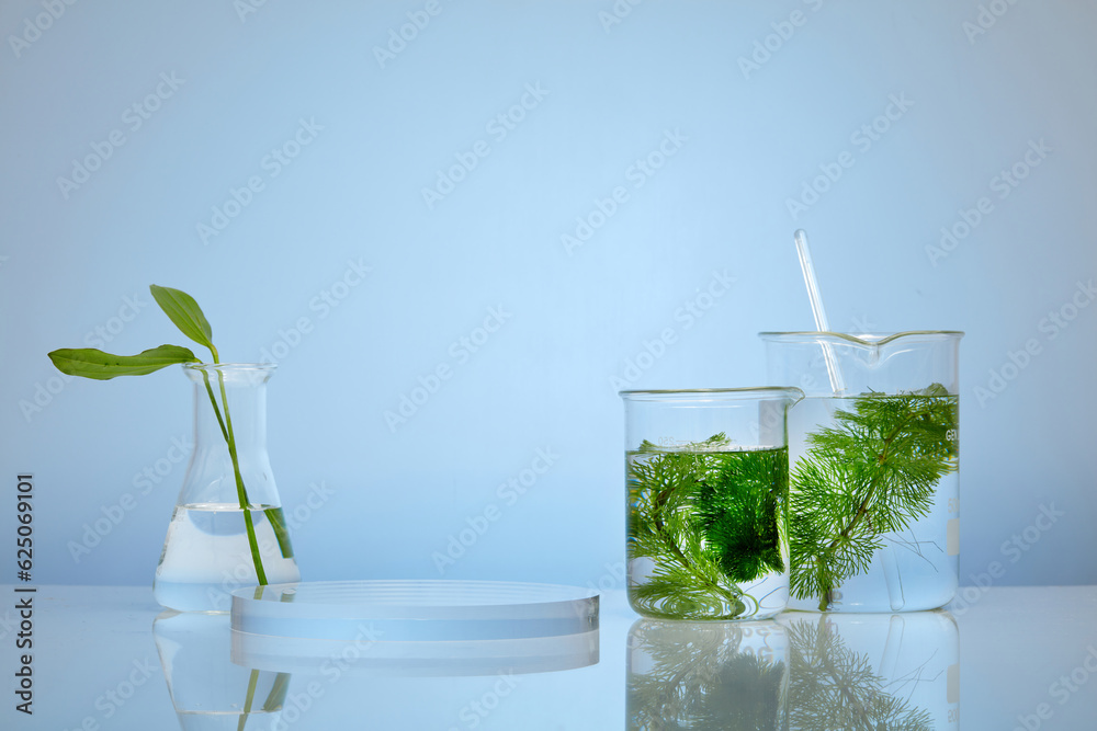 Φωτογραφία Glass beakers of seaweed and erlenmeyer flask with green leaves inside displayed with round podium
