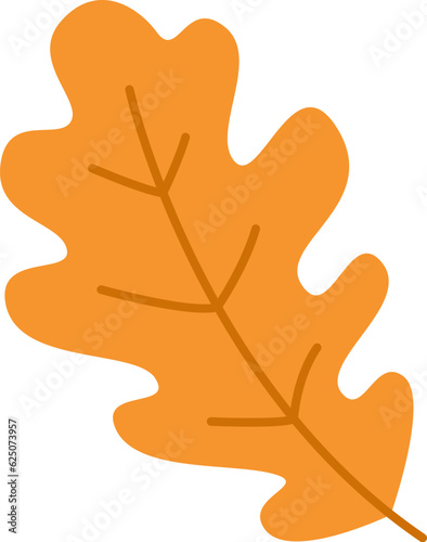 Oak Tree Leaf