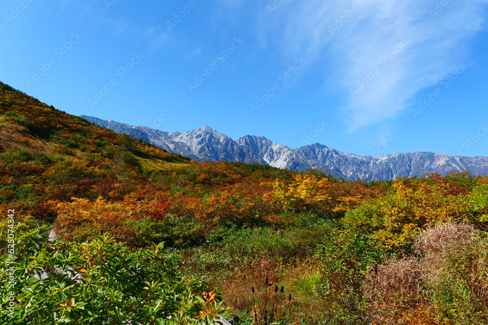 秋の鎌池湿原より白馬三山を望む。白馬、長野、日本。10月上旬。