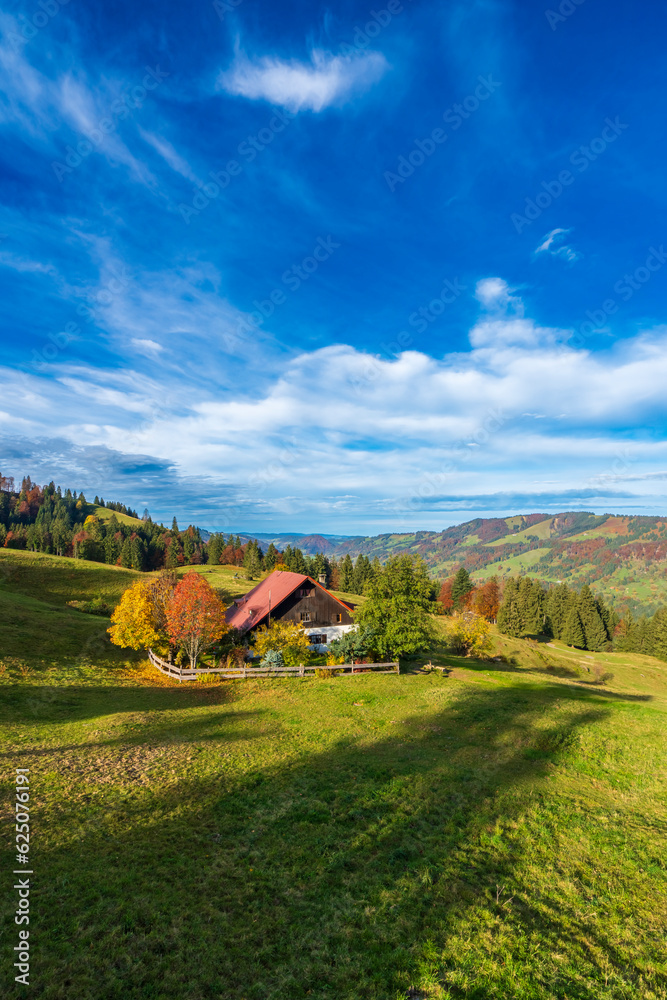 autumn in the mountains, colorful autumn landscape