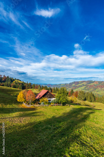 autumn in the mountains, colorful autumn landscape