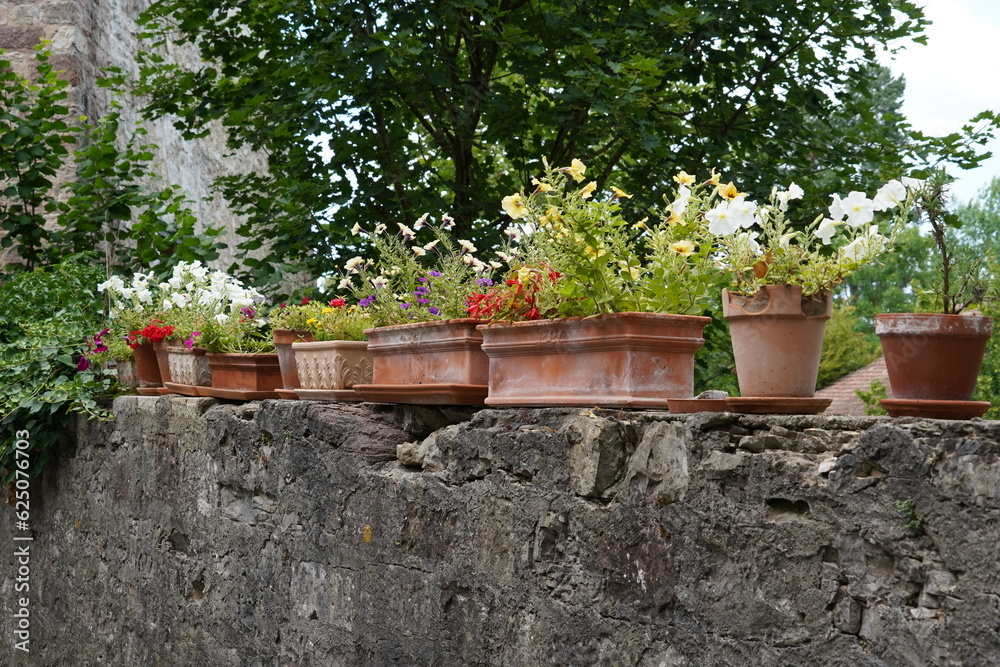 Terracotta flower pots in cylindrical and cuboidal shape with various species flowers placed on a thick stone surrounding wall. On the background there are deciduous trees with dark green leaves. Terracotta flower pots in cylindrical and cuboidal shape with various species flowers placed on a thick stone surrounding wall. On the background there are deciduous trees with dark green leaves.