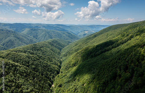 Forests of Romania. Wide angle landscape photo with the amazing green forest from Orastiei Mountains under a clear blue sky and white clouds. Nature of Romania.