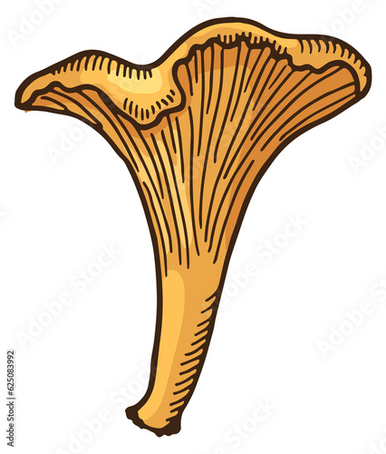 Foto Chanterelle orange cap mushroom hand drawn icon