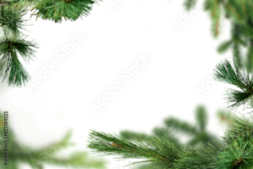 Spruce pine branches isolated on transparent background.  Christmas tree twig clipar clip art. Green branch isolated png