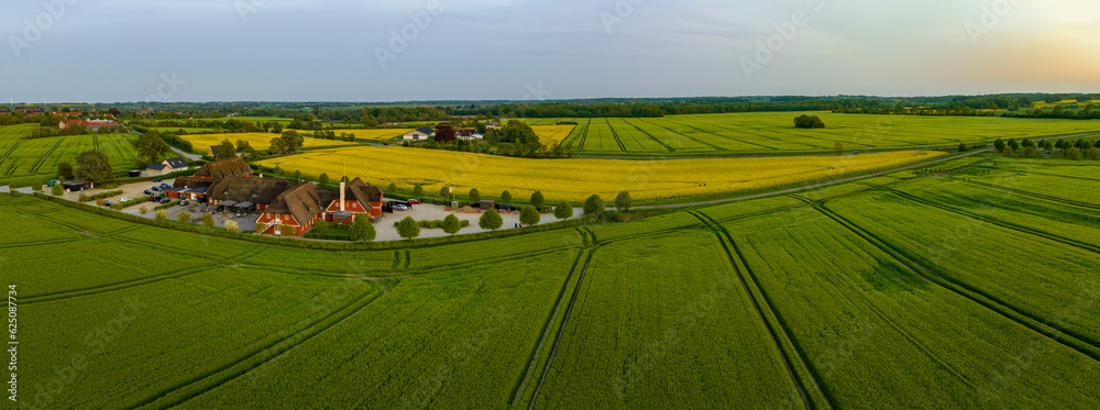 Aerial view, Denmark, Region Syddanmark, Christiansfeld, Agriculture and farms with grain and rapeseed fields, - obrazy, fototapety, plakaty 
