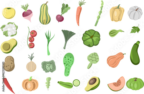 vegetables illustration set collection