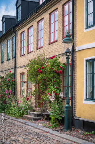 Roses growin next to colorful facade in historic city center of Lund Sweden © Michael Persson