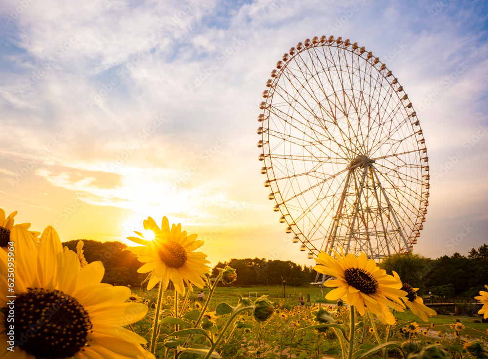 夏の夕景、葛西臨海公園_向日葵と観覧車