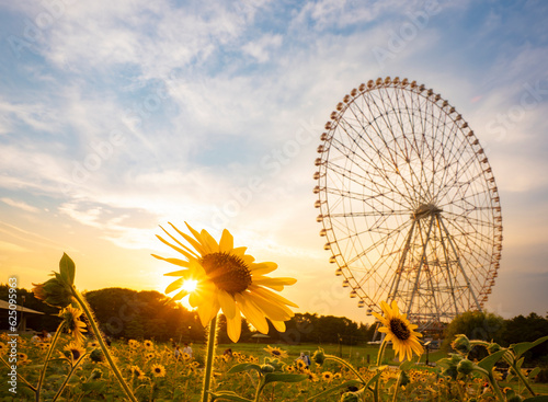 Obraz na płótnie 夏の夕景、葛西臨海公園_向日葵と観覧車 w salonie
