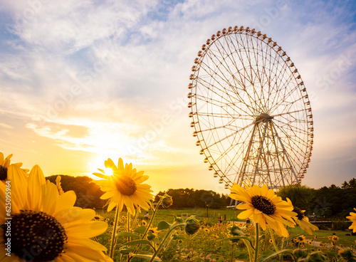 Obraz na płótnie 夏の夕景、葛西臨海公園_向日葵と観覧車 w salonie