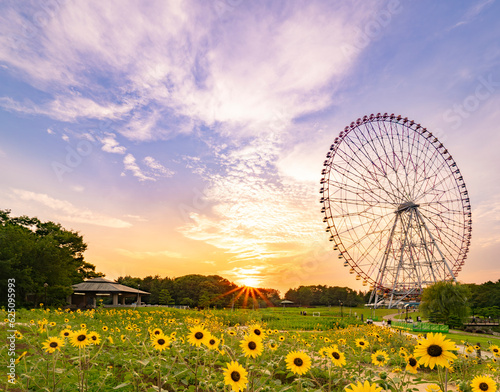 Obraz na płótnie 夏の夕景、葛西臨海公園_向日葵と観覧車 w salonie