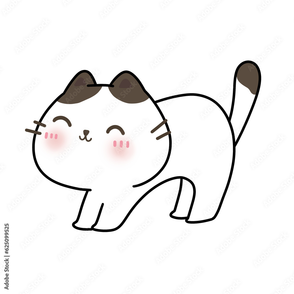 Fototapeta premium Cat
