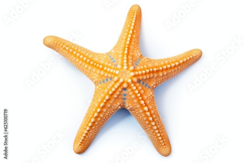 Starfish Ocean Marine Animal Isolated on White Background. Generative AI