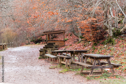 Follow the path adorned with merendero tables, a rustic retreat amidst the enchanting brown landscape of autumn