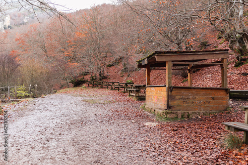 mbark on a magical journey along the forest path leading to the enchanting Faedo de Ciñera, where nature's wonders await
