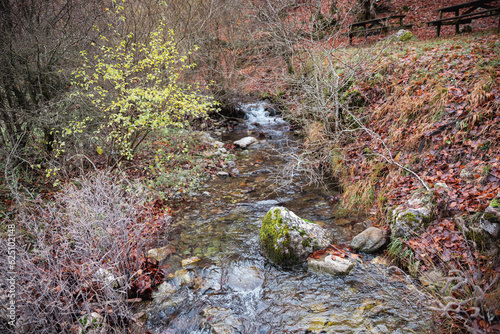 A picturesque river flows through Faedo de Ciñera, its banks adorned with fallen brown leaves, painting a serene autumn scene