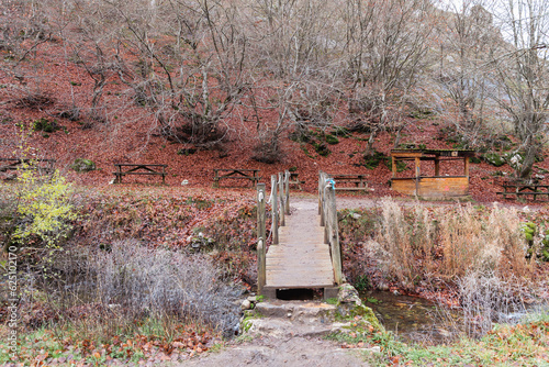 Cross the enchanting Faedo de Ciñera on a wooden bridge amidst a brown-hued backdrop, experiencing the warm embrace of autumn's beauty