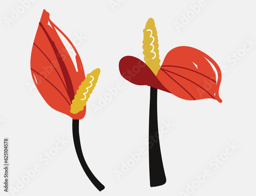 Bold abstract flowers anthurium, beautiful hand drawn blossoms perfect for postcards, wallpaper, pattern fills, web page background, surface textures. Modern bold  florals