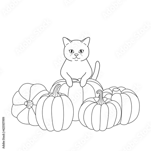 Cute coloring book with a cat and pumpkins. Autumn atmosphere. Simple vector illustration.