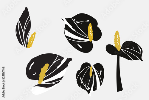 Set of Bold abstract flowers anthurium, beautiful hand drawn blossoms and leaves perfect for postcards, wallpaper, pattern fills, web page background, surface textures. Modern bold florals