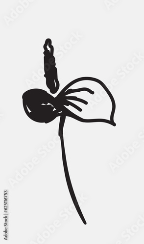old abstract flower anthurium, beautiful hand drawn blossom perfect for postcards, wallpaper, pattern fills, web page background, surface textures. Modern bold  floral