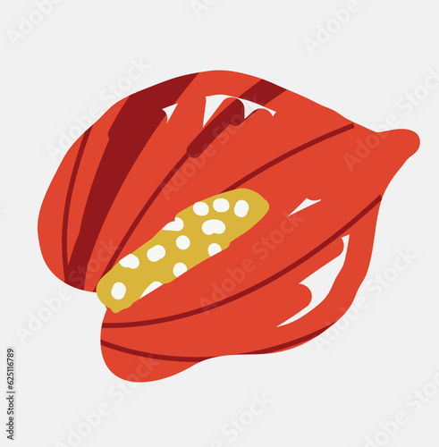 old abstract flower anthurium, beautiful hand drawn blossom perfect for postcards, wallpaper, pattern fills, web page background, surface textures. Modern bold  floral